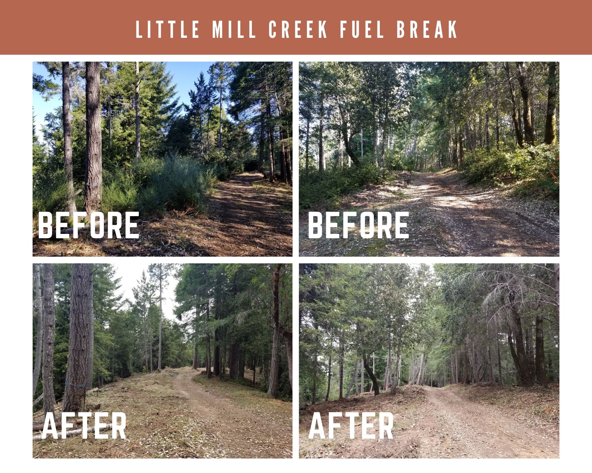 Little Mill Creek fuel break before and after